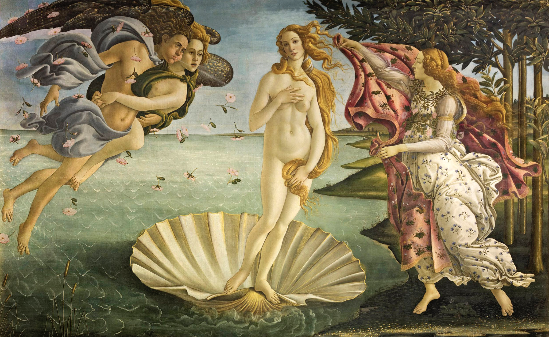 the birth of Venus 