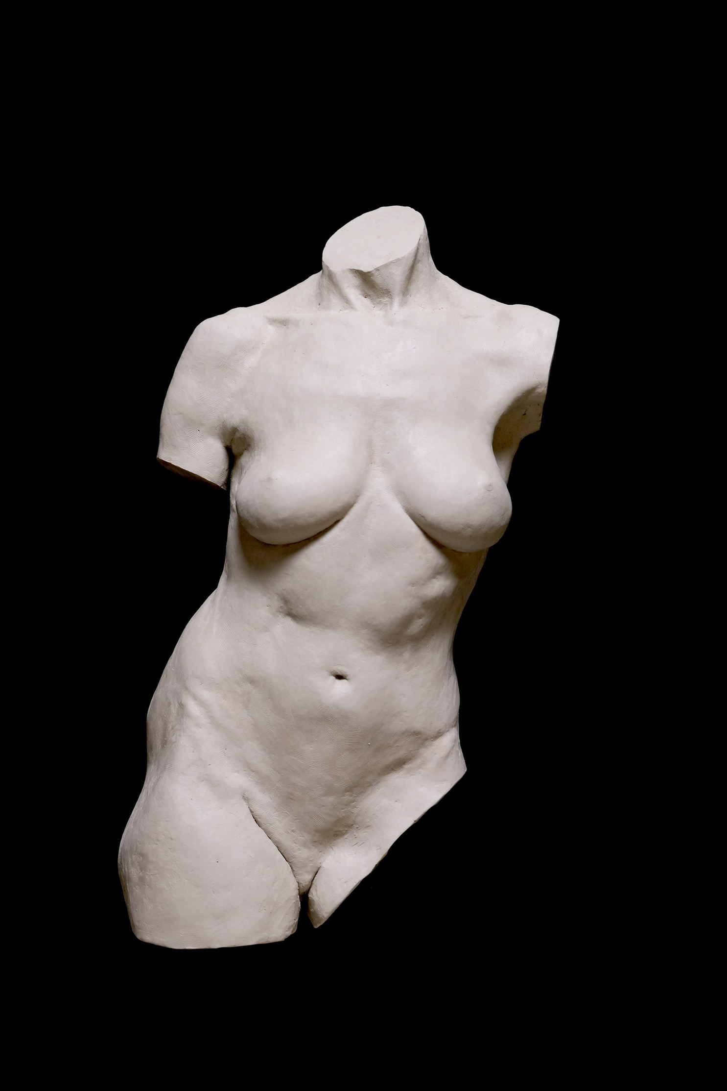Sculpting torso